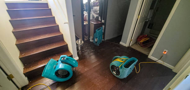 Best Water damage restoration specialists  in Baton Rouge, LA