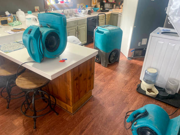 Best Water damage cleanup near me  in Baton Rouge, LA