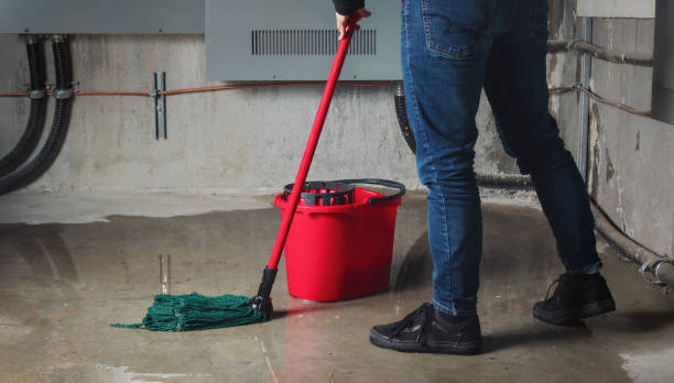 Best Water damage contractors near me  in Baton Rouge, LA