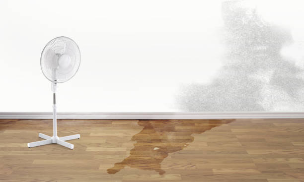 Best 24-hour water damage restoration  in Baton Rouge, LA