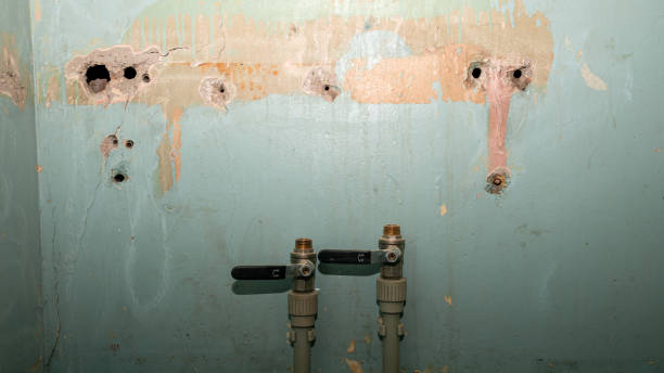 Best Water damage mitigation services  in Baton Rouge, LA