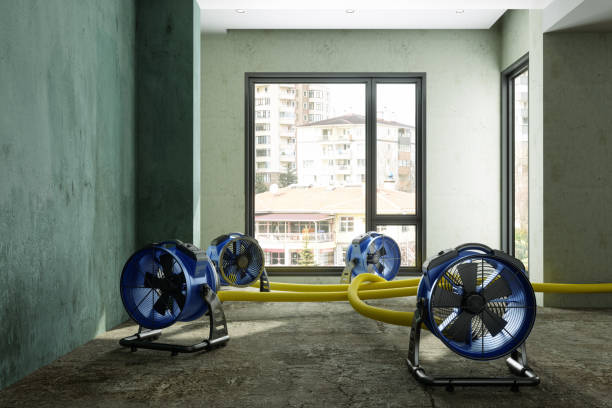 Best Fire Damage Restoration  in Baton Rouge, LA