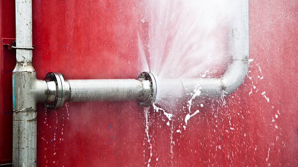 Best Carpet water damage restoration  in Baton Rouge, LA